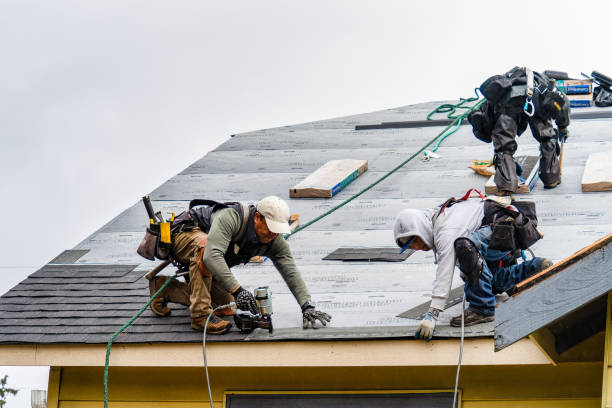 Professional Roof Installation technician working in Saint Johns, MI